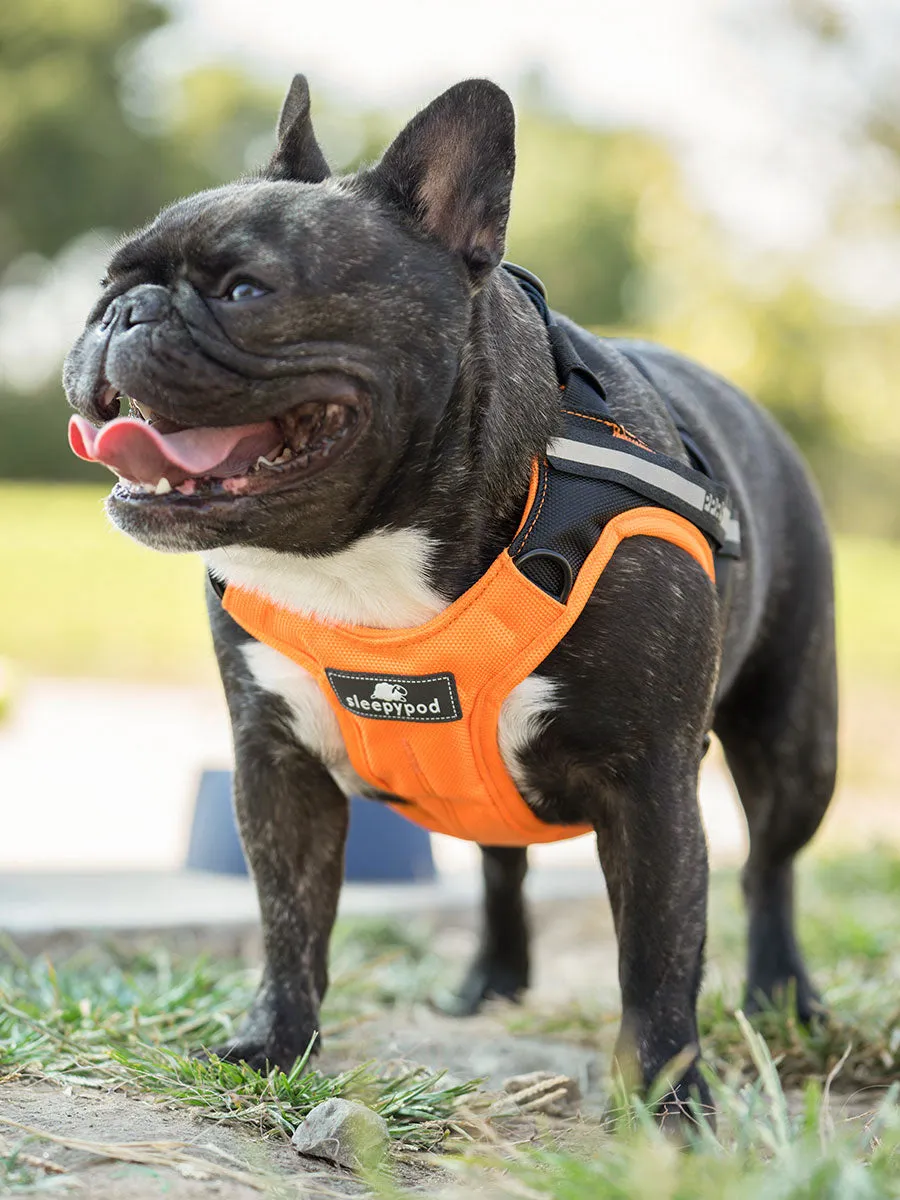 Clickit Terrain Plus (includes harness, s-clip and buckle shield)