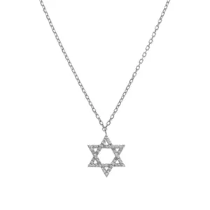 Large Star of David Pendant Necklace in Silver with CZ Stones by Penny Levi